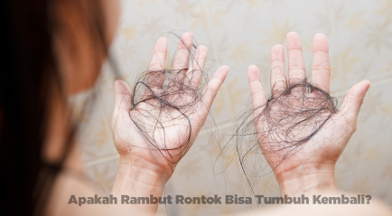 Apakah rambut rontok bisa tumbuh kembali?